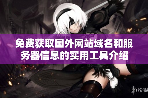 免费获取国外网站域名和服务器信息的实用工具介绍