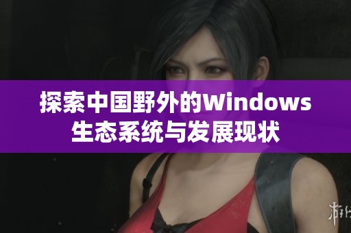 探索中国野外的Windows生态系统与发展现状
