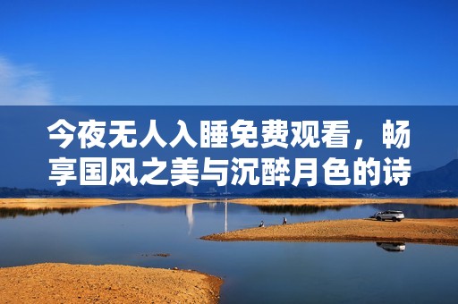 今夜无人入睡免费观看，畅享国风之美与沉醉月色的诗意夜晚