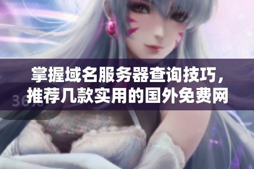 掌握域名服务器查询技巧，推荐几款实用的国外免费网站