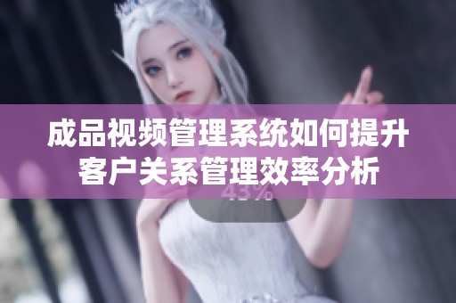成品视频管理系统如何提升客户关系管理效率分析
