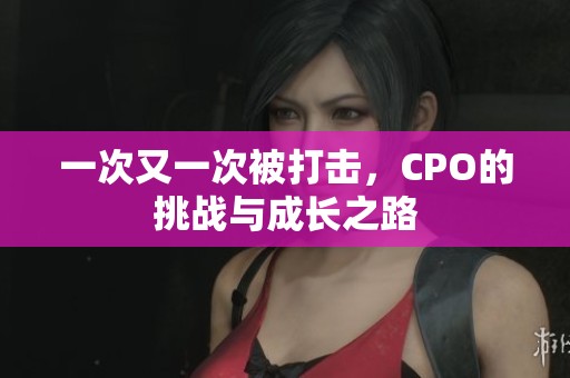 一次又一次被打击，CPO的挑战与成长之路