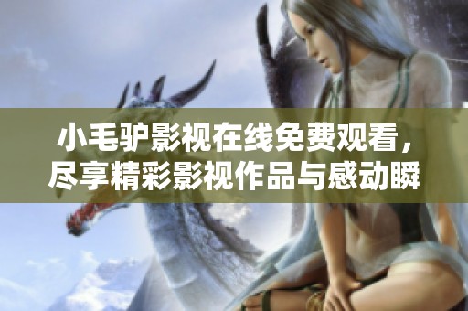 小毛驴影视在线免费观看，尽享精彩影视作品与感动瞬间