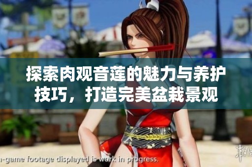 探索肉观音莲的魅力与养护技巧，打造完美盆栽景观