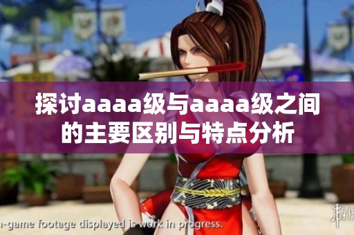 探讨aaaa级与aaaa级之间的主要区别与特点分析