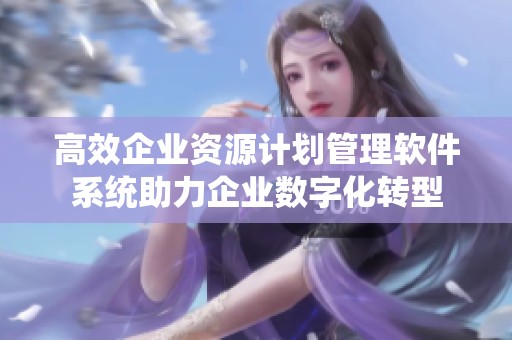 高效企业资源计划管理软件系统助力企业数字化转型
