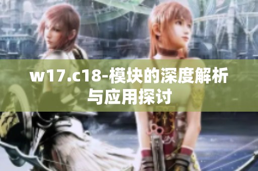 w17.c18-模块的深度解析与应用探讨