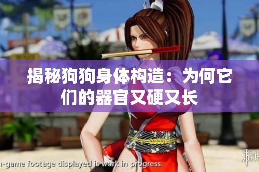 揭秘狗狗身体构造：为何它们的器官又硬又长
