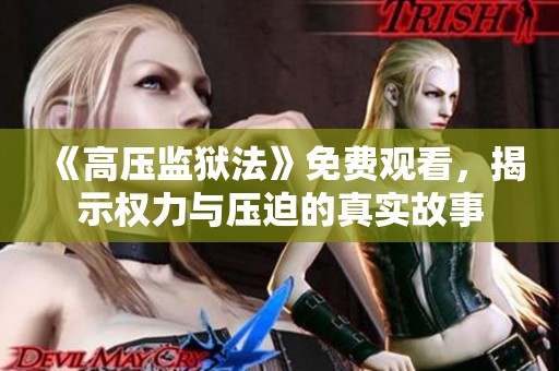 《高压监狱法》免费观看，揭示权力与压迫的真实故事