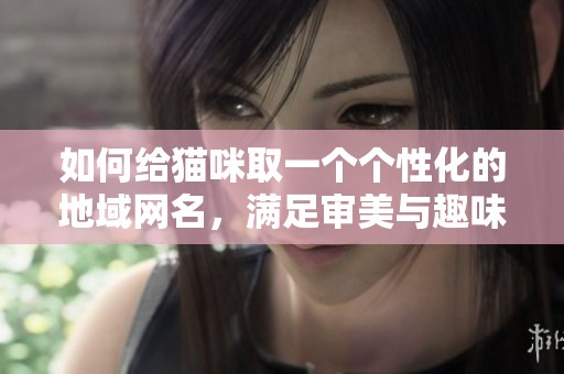 如何给猫咪取一个个性化的地域网名，满足审美与趣味？