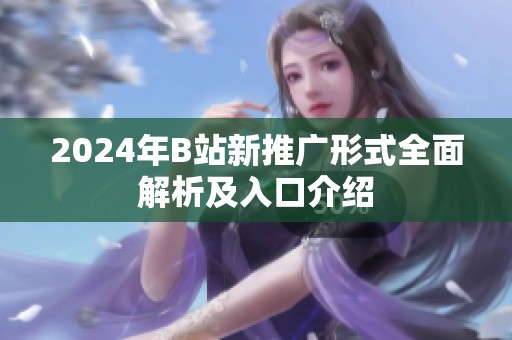 2024年B站新推广形式全面解析及入口介绍
