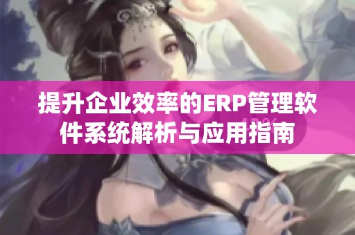 提升企业效率的ERP管理软件系统解析与应用指南