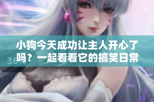 小狗今天成功让主人开心了吗？一起看看它的搞笑日常！