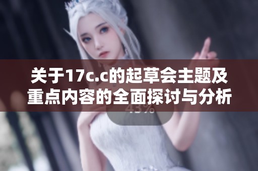 关于17c.c的起草会主题及重点内容的全面探讨与分析