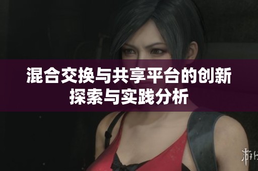 混合交换与共享平台的创新探索与实践分析