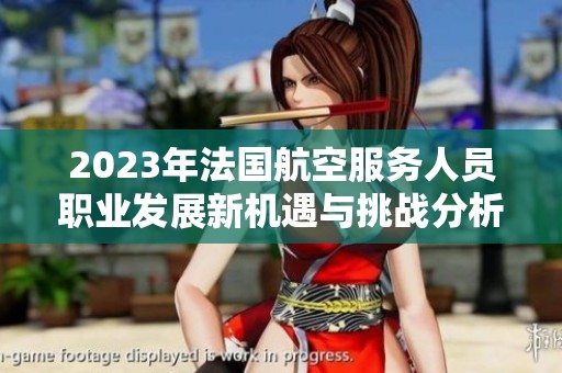 2023年法国航空服务人员职业发展新机遇与挑战分析