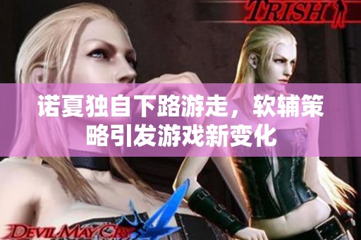 诺夏独自下路游走，软辅策略引发游戏新变化