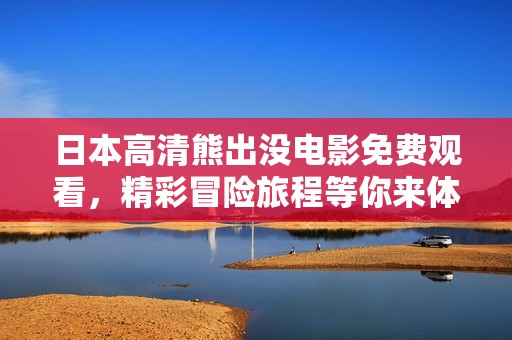 日本高清熊出没电影免费观看，精彩冒险旅程等你来体验