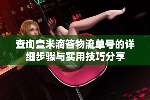 查询壹米滴答物流单号的详细步骤与实用技巧分享