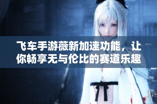 飞车手游薇新加速功能，让你畅享无与伦比的赛道乐趣