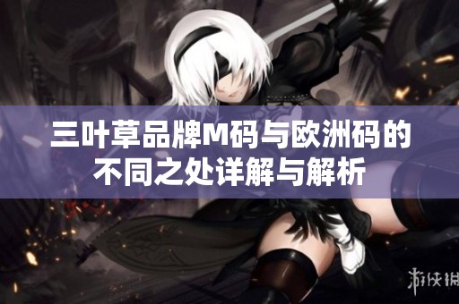 三叶草品牌M码与欧洲码的不同之处详解与解析