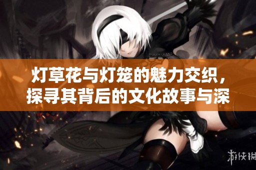 灯草花与灯笼的魅力交织，探寻其背后的文化故事与深厚寓意