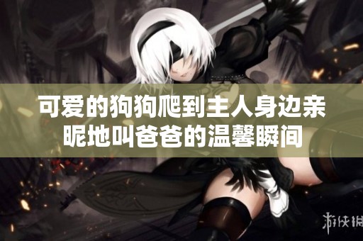 可爱的狗狗爬到主人身边亲昵地叫爸爸的温馨瞬间