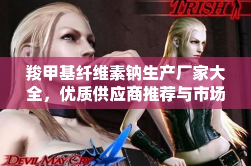 羧甲基纤维素钠生产厂家大全，优质供应商推荐与市场分析