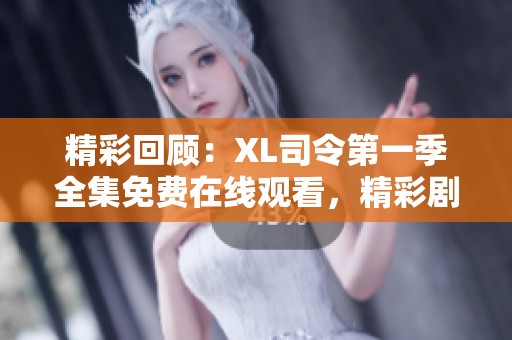 精彩回顾：XL司令第一季全集免费在线观看，精彩剧情一网打尽