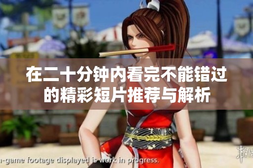 在二十分钟内看完不能错过的精彩短片推荐与解析