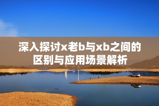 深入探讨x老b与xb之间的区别与应用场景解析