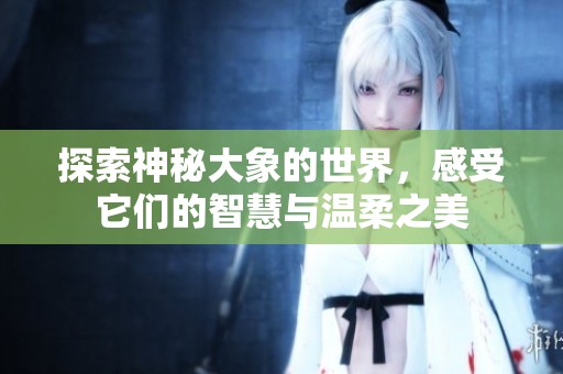 探索神秘大象的世界，感受它们的智慧与温柔之美