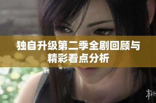 独自升级第二季全剧回顾与精彩看点分析