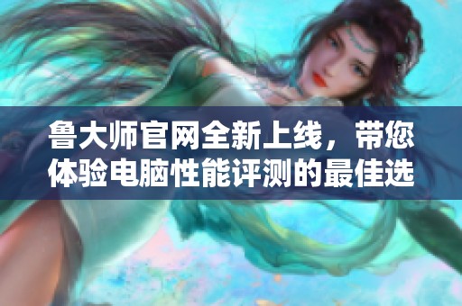 鲁大师官网全新上线，带您体验电脑性能评测的最佳选择