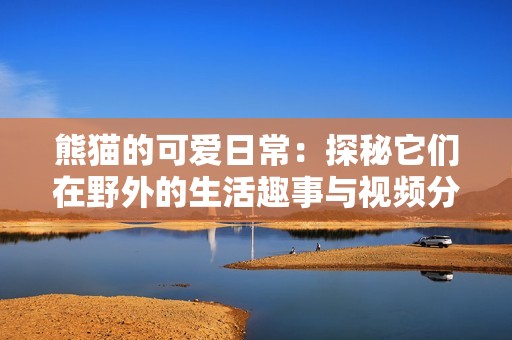 熊猫的可爱日常：探秘它们在野外的生活趣事与视频分享