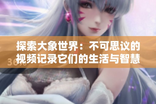 探索大象世界：不可思议的视频记录它们的生活与智慧