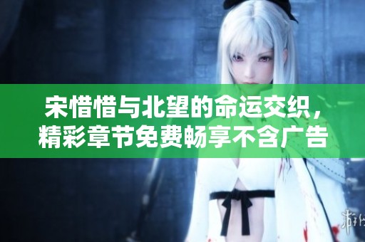 宋惜惜与北望的命运交织，精彩章节免费畅享不含广告