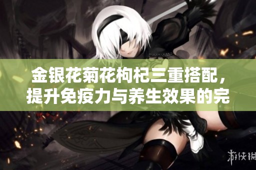 金银花菊花枸杞三重搭配，提升免疫力与养生效果的完美组合