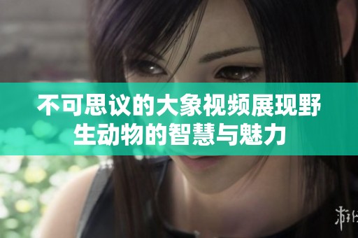 不可思议的大象视频展现野生动物的智慧与魅力