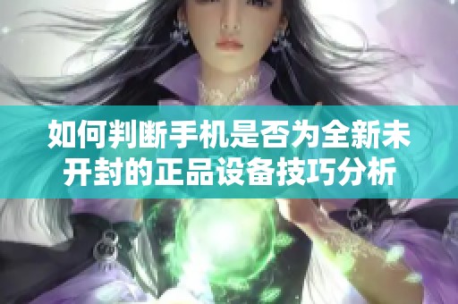 如何判断手机是否为全新未开封的正品设备技巧分析