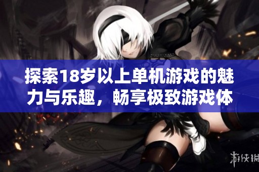 探索18岁以上单机游戏的魅力与乐趣，畅享极致游戏体验
