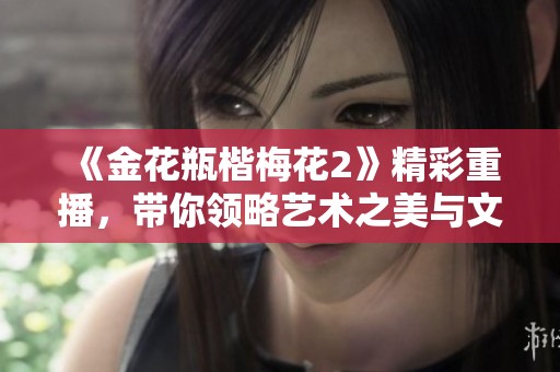 《金花瓶楷梅花2》精彩重播，带你领略艺术之美与文化魅力